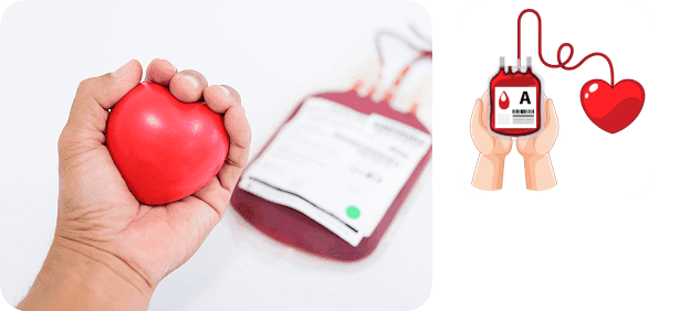 Hand holding red heart with blood donation imagery